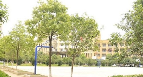 265.jpg